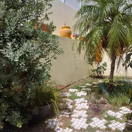 Casa Da Palmeira