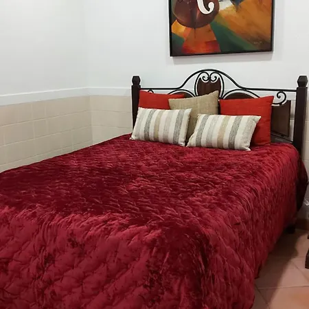 게스트하우스 Casa Da Palmeira 3*